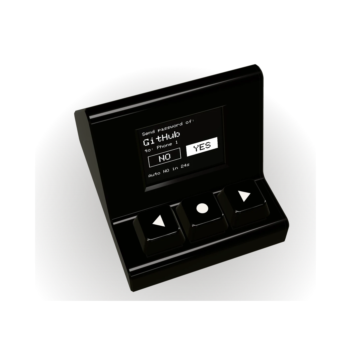 Crypt BlackBox from above, asking to send a password